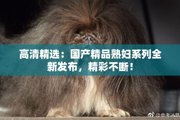 高清精选：国产精品熟妇系列全新发布，精彩不断！