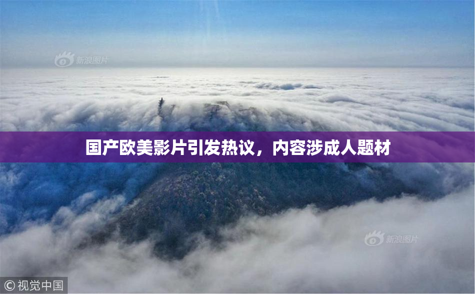 国产欧美影片引发热议，内容涉成人题材