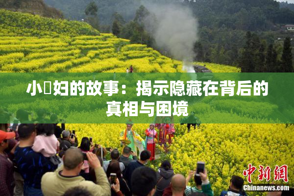 小婬妇的故事：揭示隐藏在背后的真相与困境