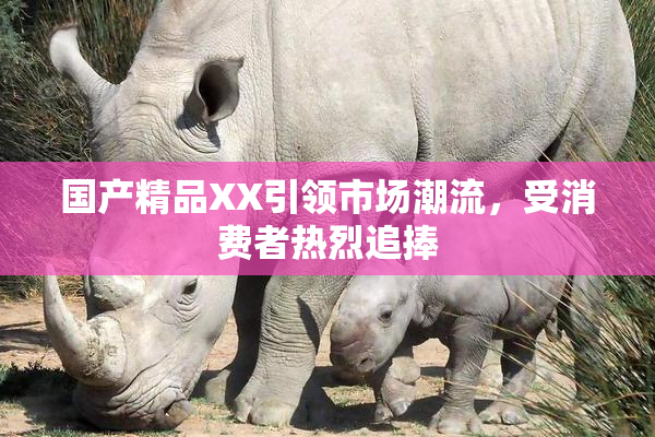 国产精品XX引领市场潮流，受消费者热烈追捧
