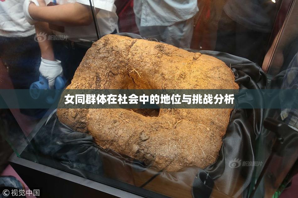 女同群体在社会中的地位与挑战分析