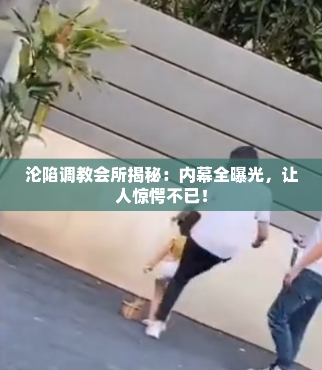 沦陷调教会所揭秘：内幕全曝光，让人惊愕不已！