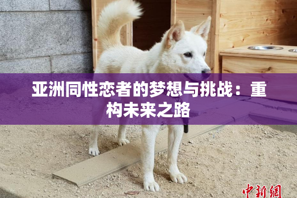 亚洲同性恋者的梦想与挑战：重构未来之路