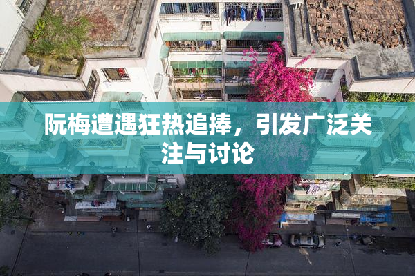 阮梅遭遇狂热追捧，引发广泛关注与讨论
