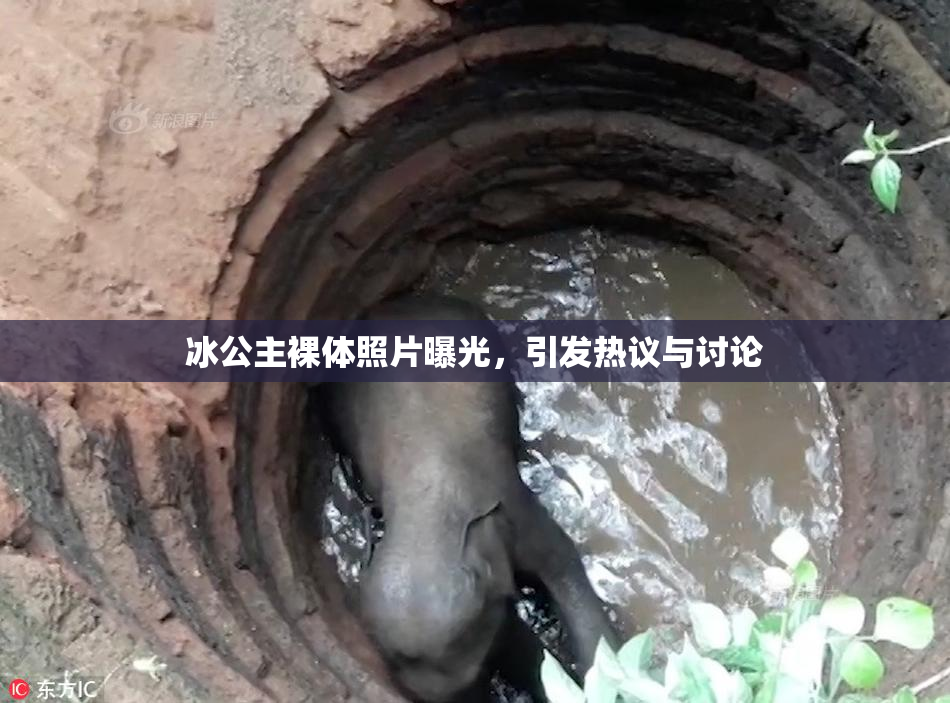 冰公主裸体照片曝光，引发热议与讨论