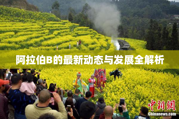 阿拉伯B的最新动态与发展全解析