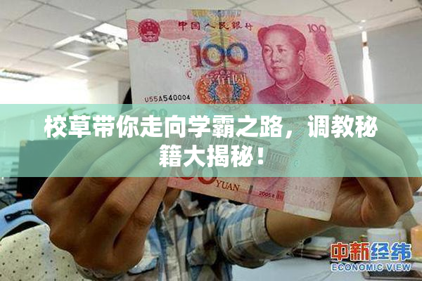 校草带你走向学霸之路，调教秘籍大揭秘！