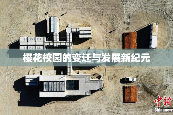 樱花校园的变迁与发展新纪元