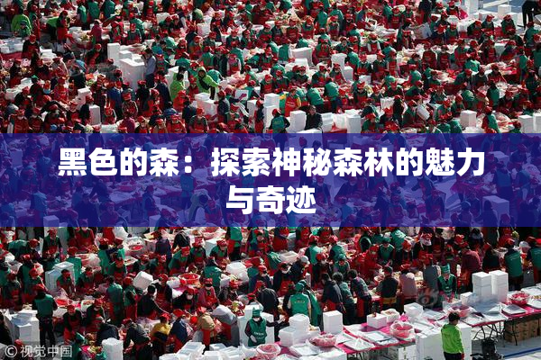 黑色的森：探索神秘森林的魅力与奇迹
