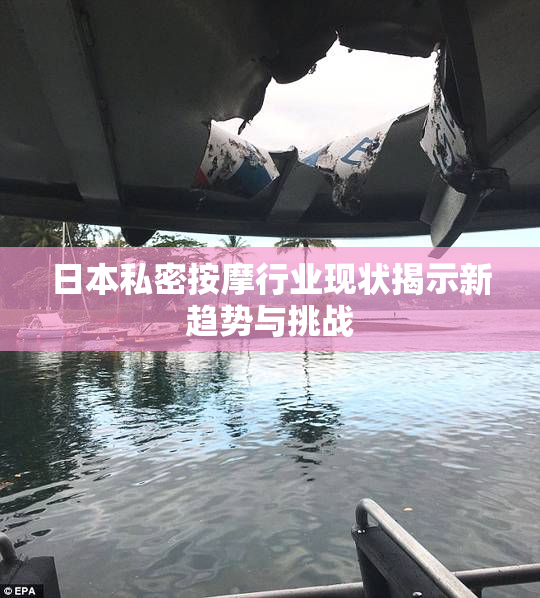 日本私密按摩行业现状揭示新趋势与挑战