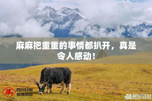 麻麻把重重的事情都扒开，真是令人感动！