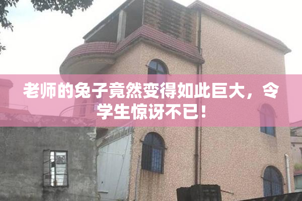 老师的兔子竟然变得如此巨大，令学生惊讶不已！