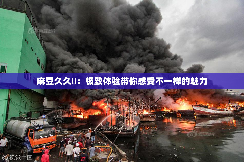 麻豆久久婬：极致体验带你感受不一样的魅力