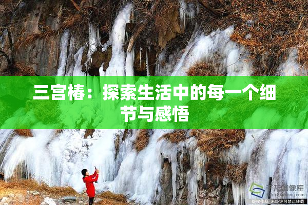 三宫椿：探索生活中的每一个细节与感悟