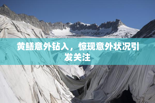 黄鳝意外钻入，惊现意外状况引发关注