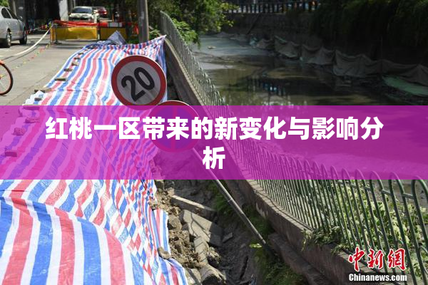 红桃一区带来的新变化与影响分析