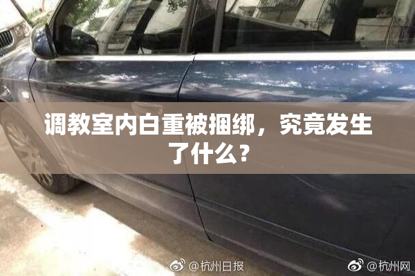 调教室内白重被捆绑，究竟发生了什么？