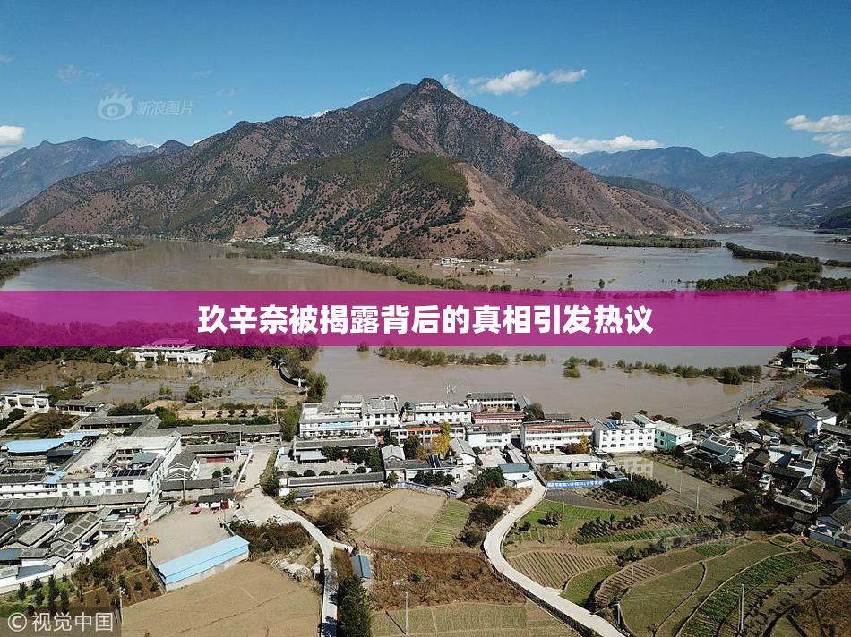 玖辛奈被揭露背后的真相引发热议
