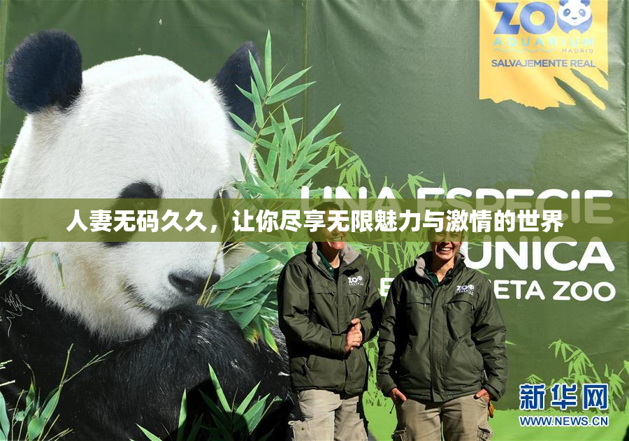 人妻无码久久，让你尽享无限魅力与激情的世界