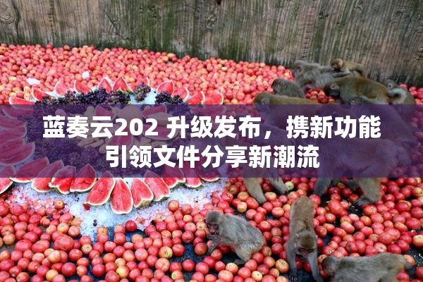 蓝奏云202 升级发布，携新功能引领文件分享新潮流