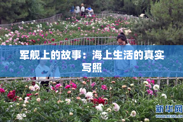 军舰上的故事：海上生活的真实写照