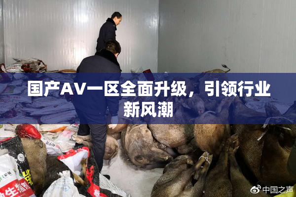 国产AV一区全面升级，引领行业新风潮