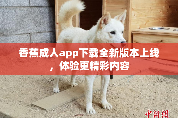 香蕉成人app下载全新版本上线，体验更精彩内容
