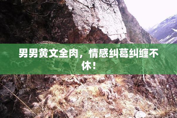 男男黄文全肉，情感纠葛纠缠不休！