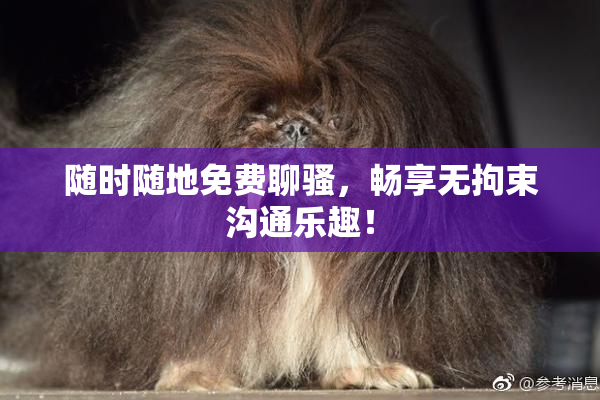 随时随地免费聊骚，畅享无拘束沟通乐趣！