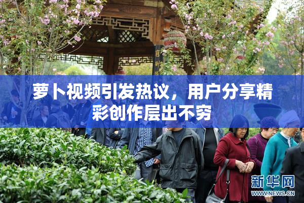 萝卜视频引发热议，用户分享精彩创作层出不穷