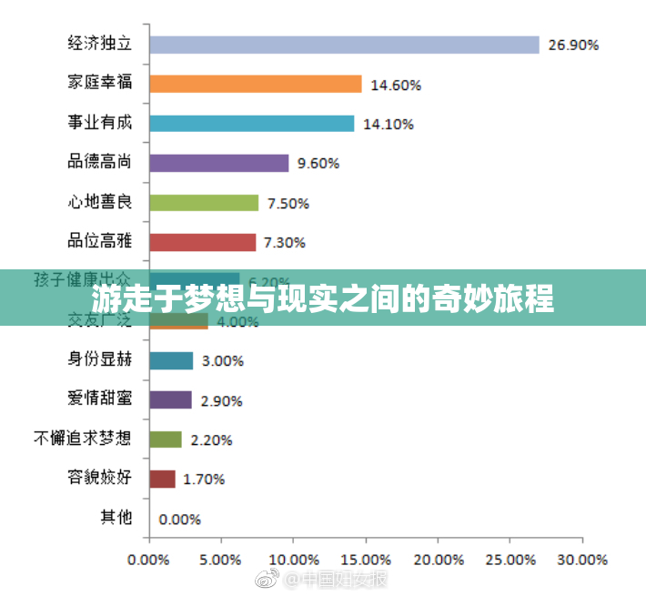 游走于梦想与现实之间的奇妙旅程