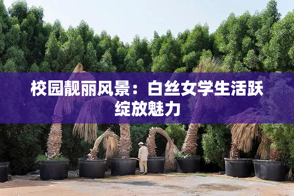 校园靓丽风景：白丝女学生活跃绽放魅力