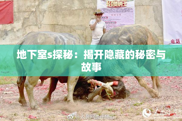 地下室s探秘：揭开隐藏的秘密与故事