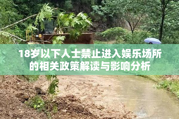 18岁以下人士禁止进入娱乐场所的相关政策解读与影响分析