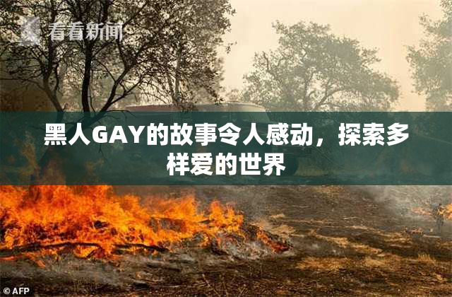 黑人GAY的故事令人感动，探索多样爱的世界