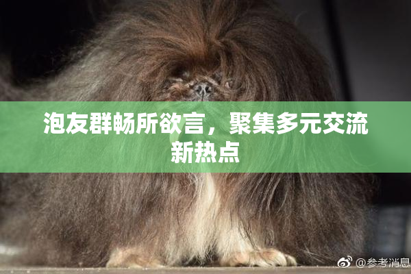 泡友群畅所欲言，聚集多元交流新热点