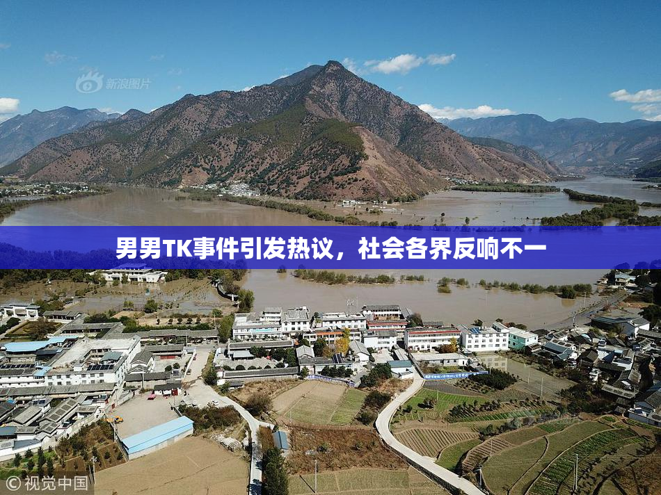 男男TK事件引发热议，社会各界反响不一