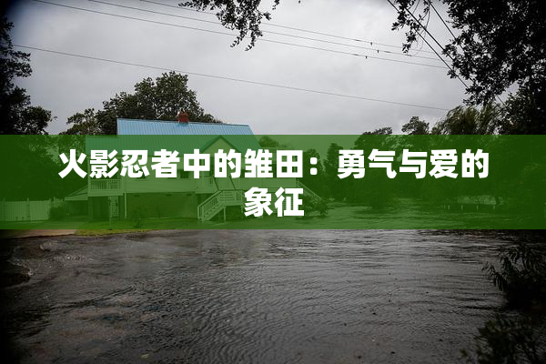 火影忍者中的雏田：勇气与爱的象征