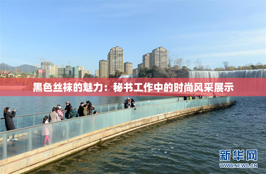 黑色丝袜的魅力：秘书工作中的时尚风采展示