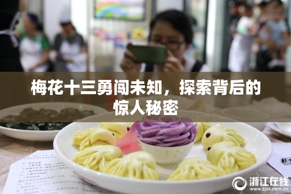 梅花十三勇闯未知，探索背后的惊人秘密