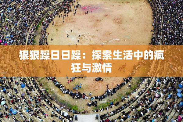 狠狠躁日日躁：探索生活中的疯狂与激情