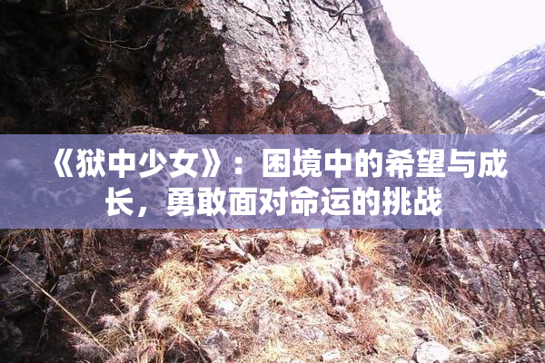 《狱中少女》：困境中的希望与成长，勇敢面对命运的挑战