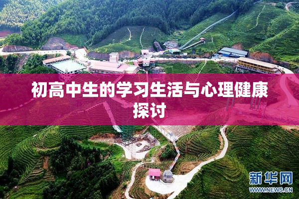 初高中生的学习生活与心理健康探讨