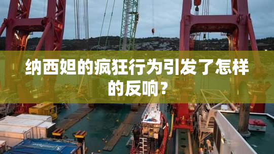纳西妲的疯狂行为引发了怎样的反响？