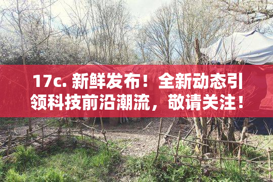 17c. 新鲜发布！全新动态引领科技前沿潮流，敬请关注！