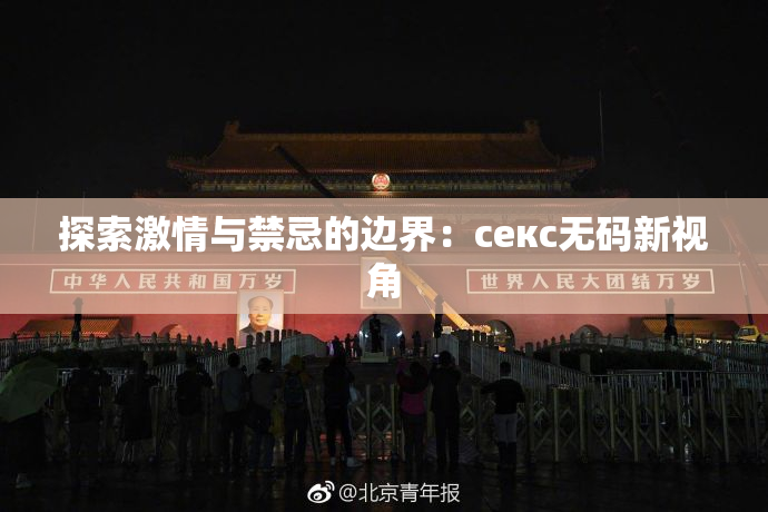 探索激情与禁忌的边界：секс无码新视角