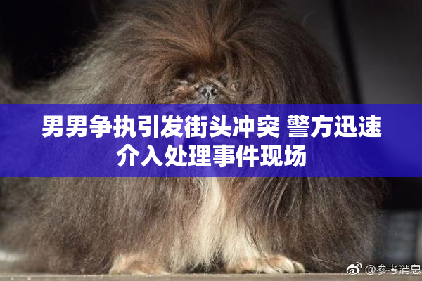 男男争执引发街头冲突 警方迅速介入处理事件现场