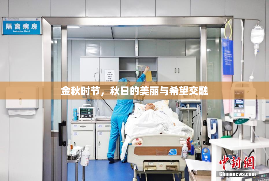 金秋时节，秋日的美丽与希望交融