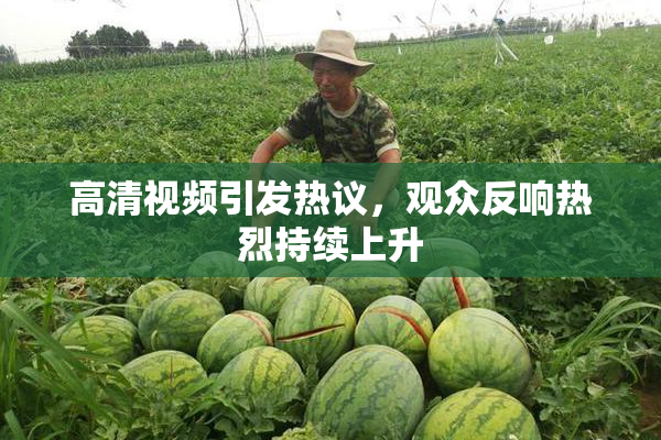 高清视频引发热议，观众反响热烈持续上升