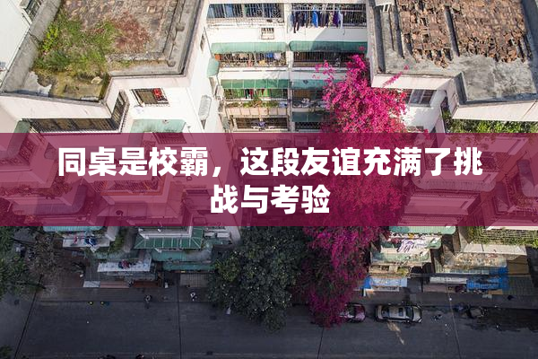 同桌是校霸，这段友谊充满了挑战与考验